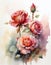 Rose watercolor painting for wall decoration or different rooms.