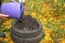 Rose winterizing: a gardener is putting soil or compost on a cut rose bush surrounded by an old car tire to protect it from winter