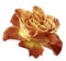 Rose yellow-orange flower on white isolated background with clipping path. Side view. Closeup.