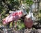 Roseate Spoonbills in Love