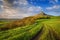 Roseberry Topping in green, England