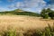 Roseberry Topping from the north