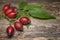 Rosehip berries  Rosa canina on wooden table. Background title