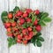 Rosehip Berry Fruit Health Food