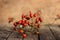 Rosehip branches with ripe red fruits on a wooden table. Useful medicinal plants