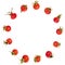 Rosehip Fruit Abstract Wreath