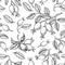 Rosehip seamless pattern. Vector drawing. Berry branch sketch on white background.