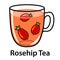 Rosehip tea in a transparent mug - immune system activator, natural medicine, source of vitamin C - herbal tea - vector