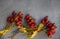 Rosehips bunches on abstract grey background