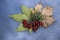 Rosehips and dried leaves