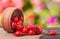 Rosehips in wooden bowl on a dark board with sackcloth and blurred background