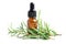 Rosemary aromatic essential oil fresh bunch herb with aromatherapy herbal bottle