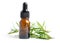 Rosemary aromatic essential oil fresh bunch herb with aromatherapy herbal bottle