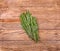 Rosemary bound on a wooden board