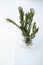 Rosemary bouquet in vase, stylish home decor, copy space