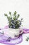 Rosemary branches in a vase on white background