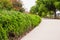 Rosemary bushes planted along the footpath make a beautiful low hight hedge