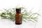 Rosemary essential oil