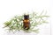 Rosemary essential oil