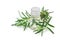 Rosemary essential oil in glass and fresh rosemary twig isolated