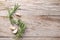 Rosemary and garlic on wooden table