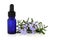 Rosemary Herb Essence and Flowers