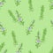 Rosemary plant seamless pattern on green background. Blooming branches of fragrant herb