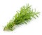 Rosemary sprigs