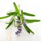 Rosemary sprigs and dried lavender flowers