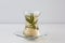 Rosemary tea in Armudu glass with branch of rosemary in it on the table on the white background