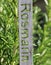 Rosemary vertical word in German, Rosmarin, on metal sign, fresh mediterranean plant in herb garden