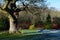 Rosemoor RHS Garden, Great Torrington, Devon