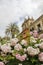 Roses and architecture in Seville