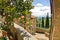 Roses on a balcony, cityscape of San Gimignano, Tuscany landscape in background