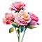 Roses in Bloom: Watercolor Charm PNG Collection