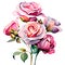 Roses in Bloom: Watercolor Charm PNG Collection