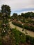 Roses blooming in the Retiro Park in Madrid, Spain.