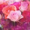 Roses blur background