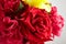 A roses bud close-up in a window flowerpot, flowers in natural d