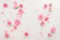Roses buds and petals scattered on white background