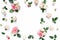 Roses and cloves, branches, floral pattern on white background. Flat lay, top view. Valentine`s background. Floral frame