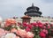 Roses decorating the facade of The Hall of Prayer for Good Harvest at the Temple of Heaven, Beijing, China, Asia