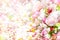 Roses flowers background.