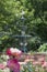 Roses with Fountain at Merrick Rose Garden