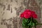 Roses and grunge wall