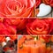 Roses and hearts collage