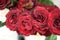 Roses mahogany 8049 c