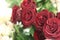 Roses mahogany 8058