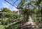 Roses at the parks of Nervi.The parks of Genoa nervi have one of the largest rose gardens in Italy