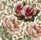 Roses pattern. Realistic isolated flowers. Vintage baroque background. Wallpaper. Drawing engraving.